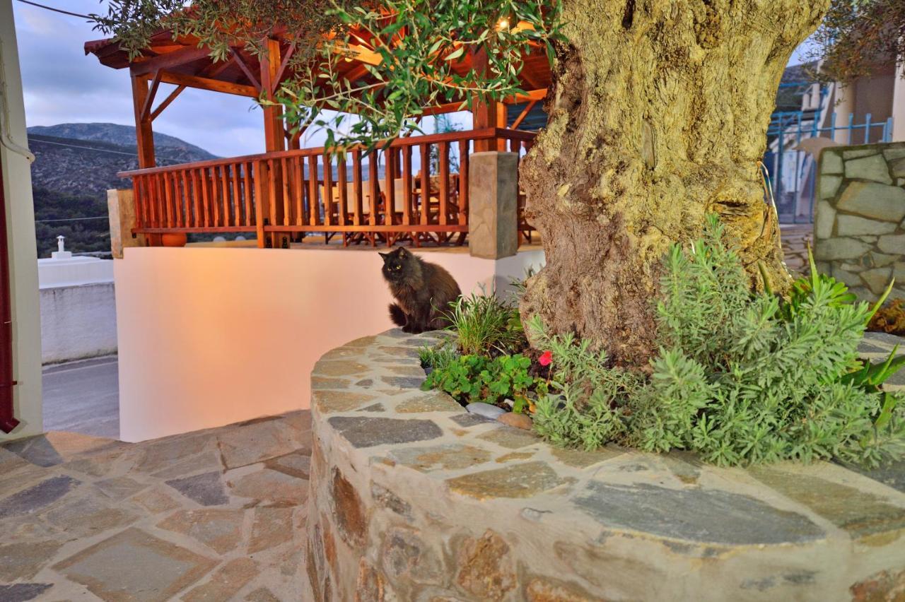Plokamos House Villa Plokamiana Luaran gambar